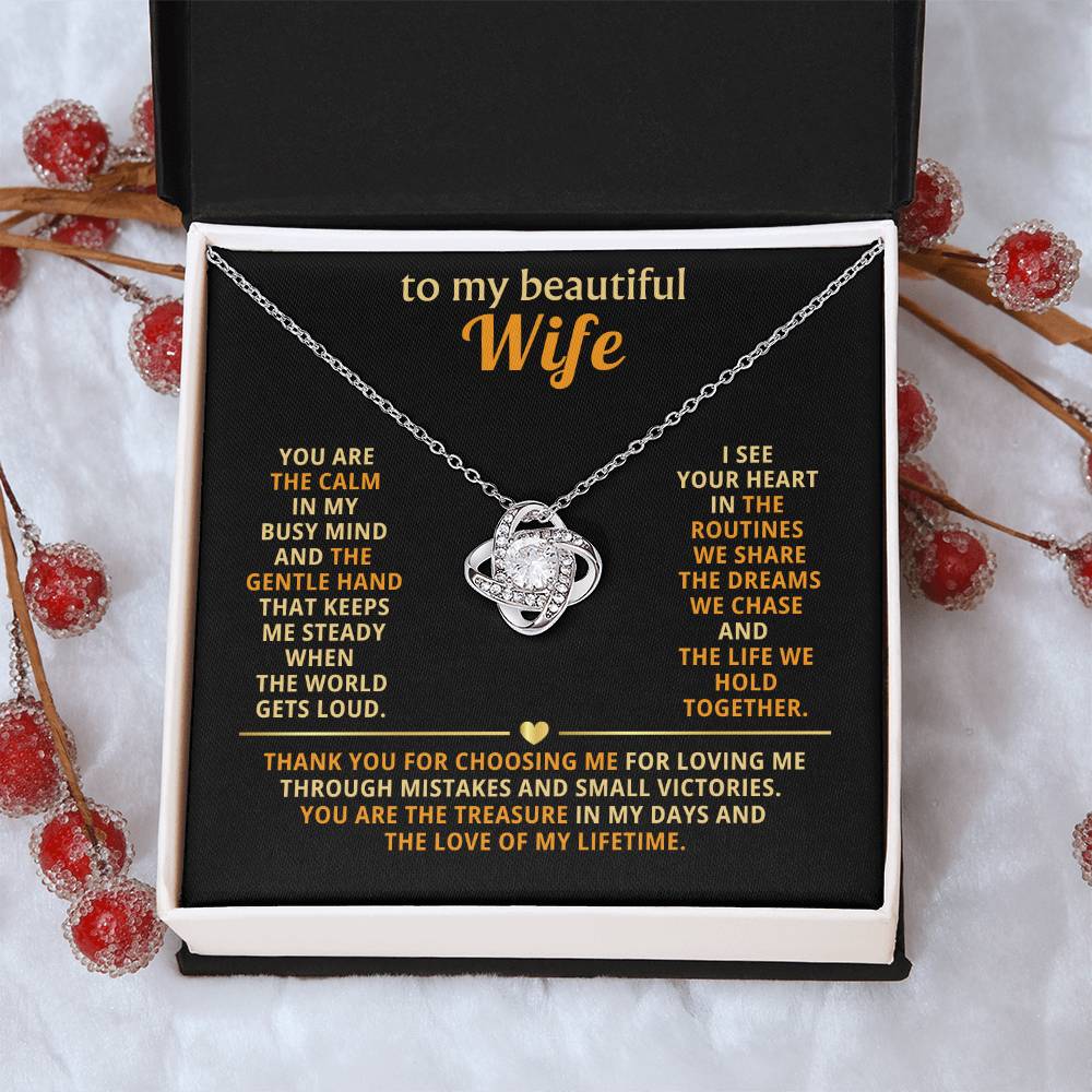 To my beautiful wife, You are the calm in my busy mind