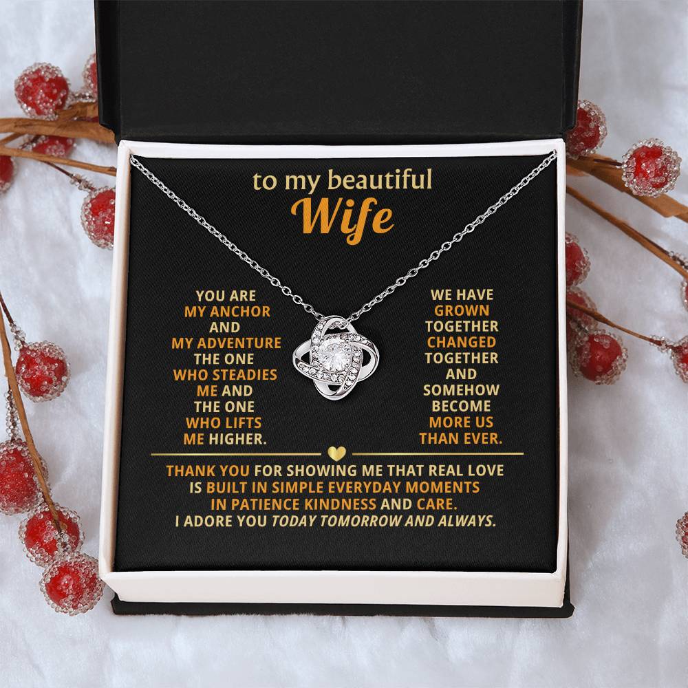 To my beautiful wife, You are my anchor and my adventure