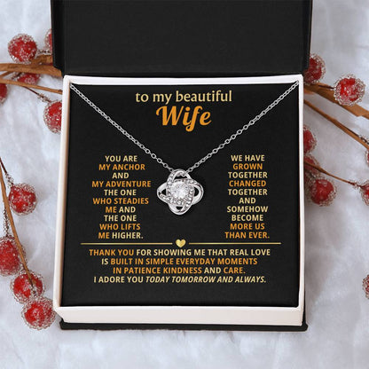 To my beautiful wife, You are my anchor and my adventure