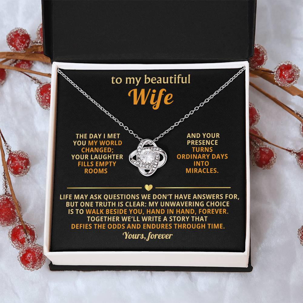 To my beautiful Wife, The day I met you my world changed