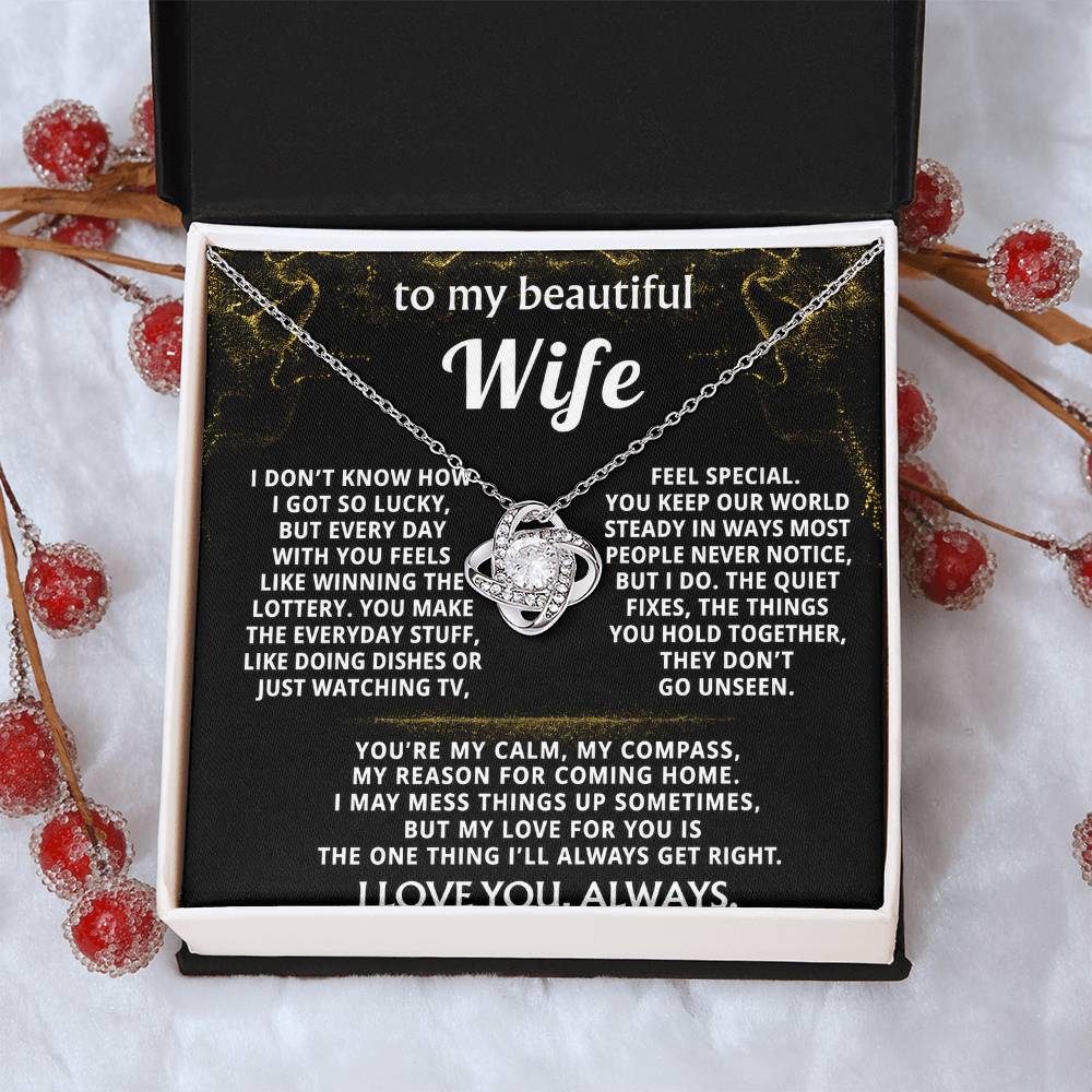 To My Wife, You are my everything, my love.
