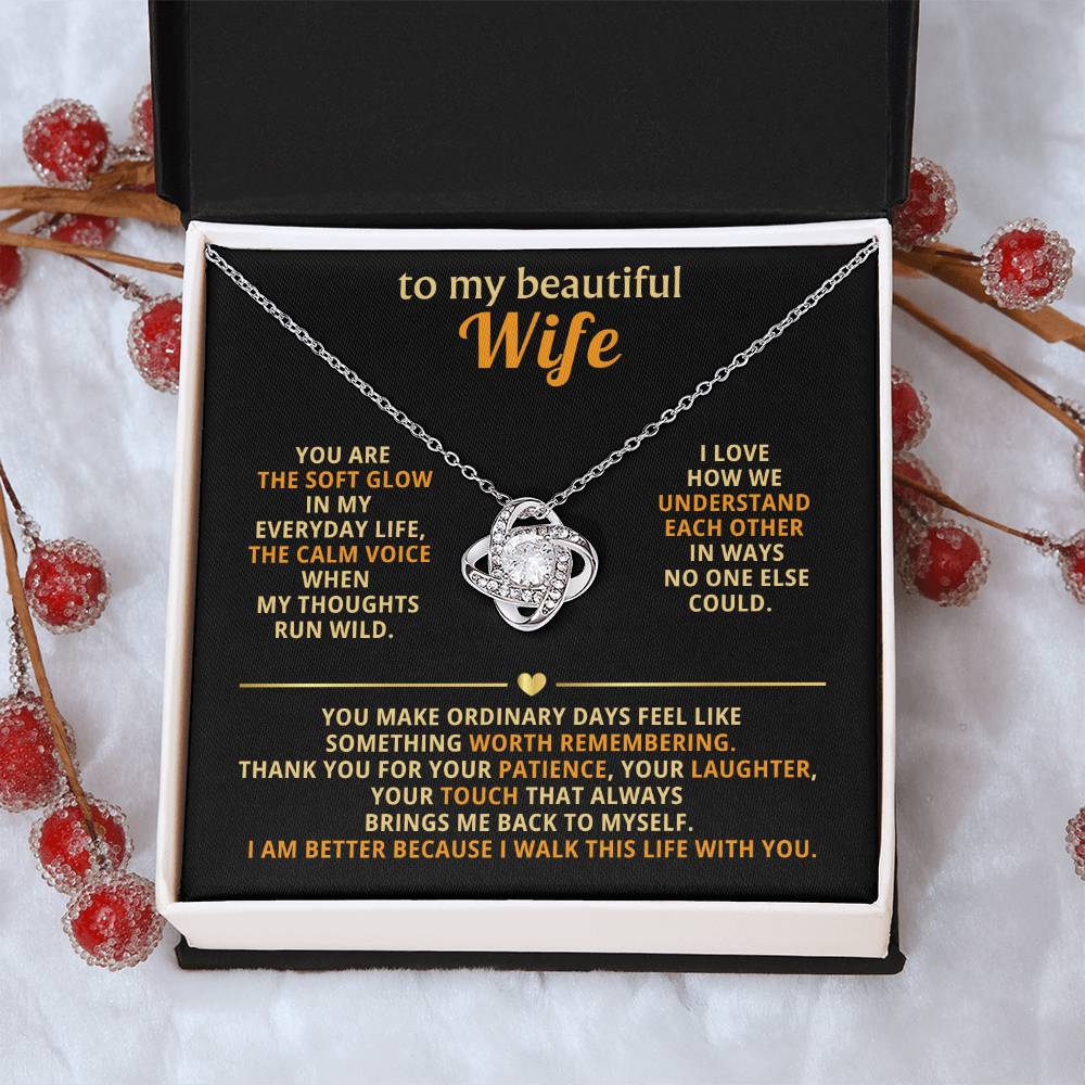 To my beautiful wife, Thank you for your patience, your laughter, your touch