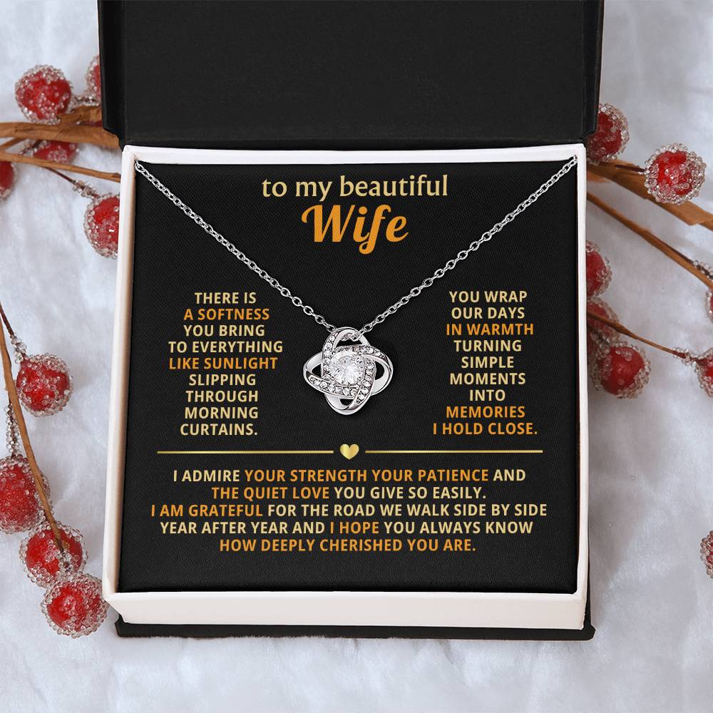 To my beautiful wife, There is a softness you bring to everything like sunlight