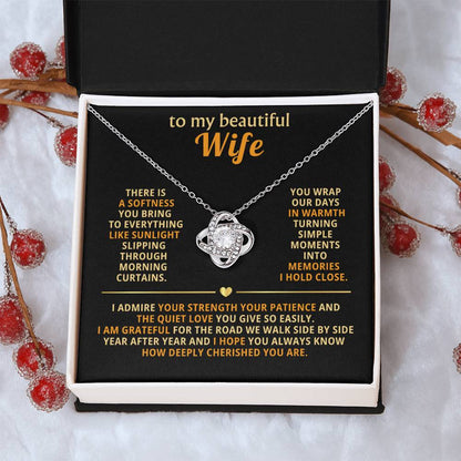 To my beautiful wife, There is a softness you bring to everything like sunlight