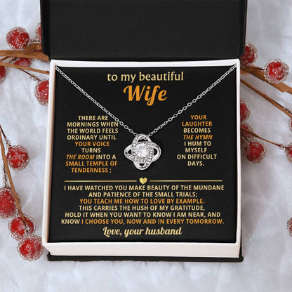 To my beautiful Wife, You teach me how to love by example