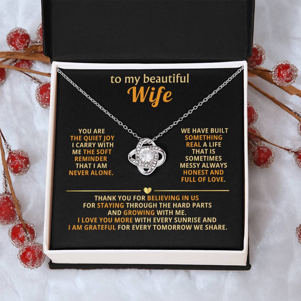 To my beautiful wife, You are the quiet joy I carry with me