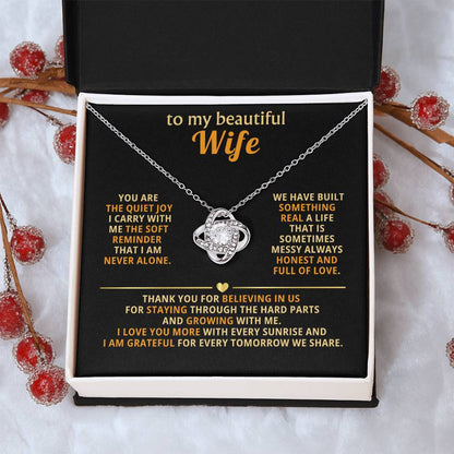 To my beautiful wife, You are the quiet joy I carry with me