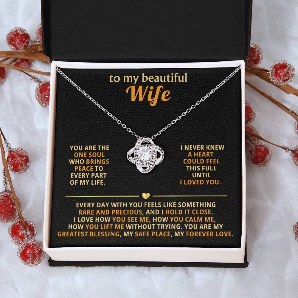 To my beautiful wife, you are the one soul who brings peace to every part of my life