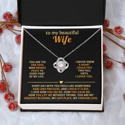 To my beautiful wife, you are the one soul who brings peace to every part of my life