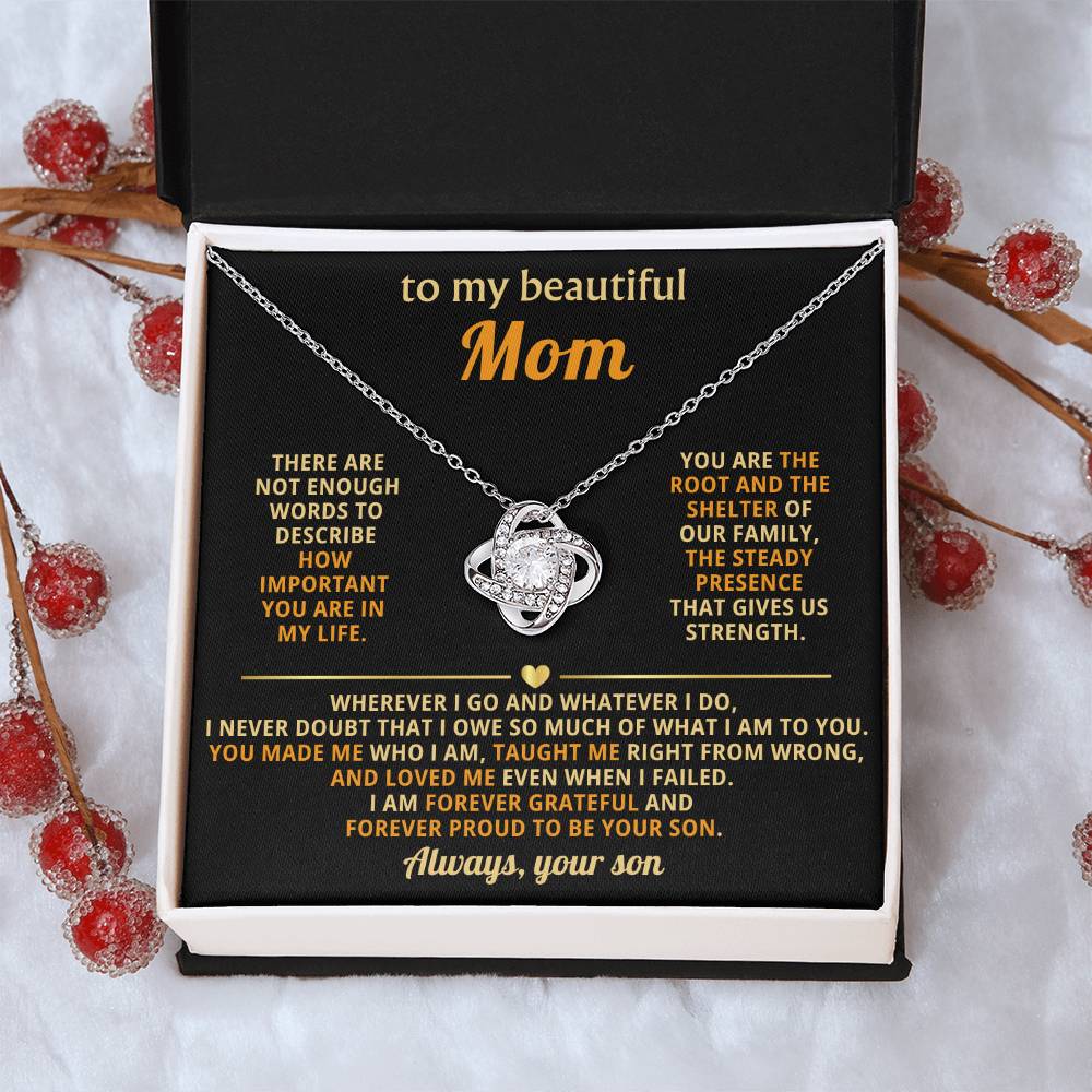 To My Mom,  You are the root and the shelter of our family