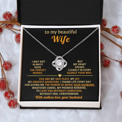 To my beautiful Wife, You are my safe place, my joy, my greatest adventure