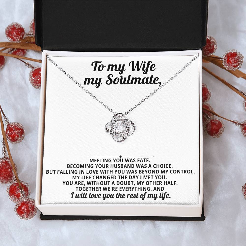 To my beautiful wife, I will love you the rest of my life.