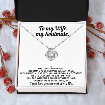 To my beautiful wife, I will love you the rest of my life.