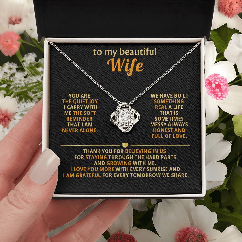 To my beautiful wife, You are the quiet joy I carry with me