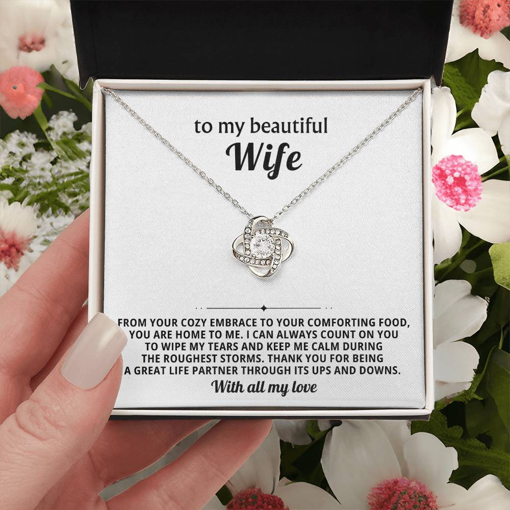 To my beautiful wife, I can always count on you to wipe my tears and keep me calm during the roughest storms