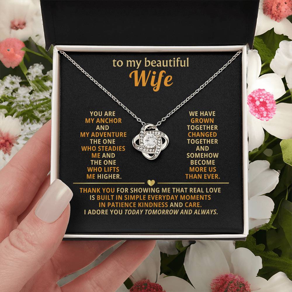 To my beautiful wife, You are my anchor and my adventure