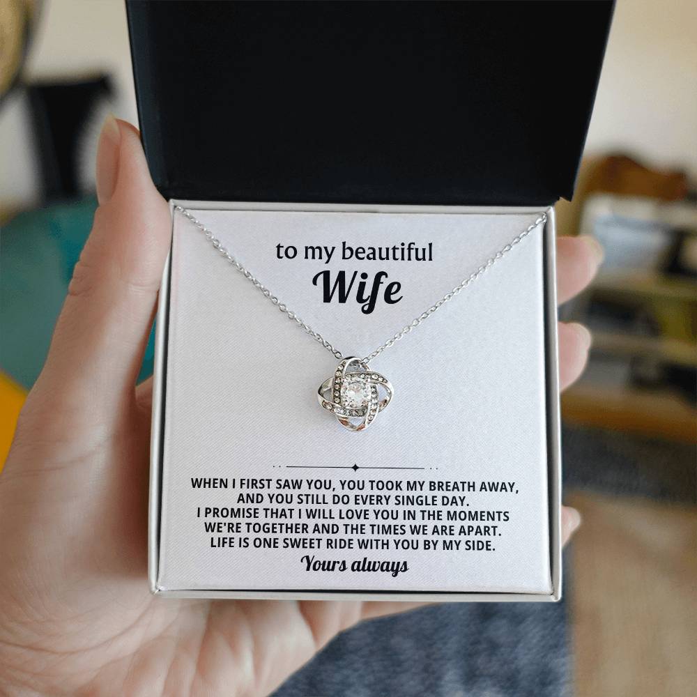 To my beautiful wife, I promise that I will love you in the moments we're together