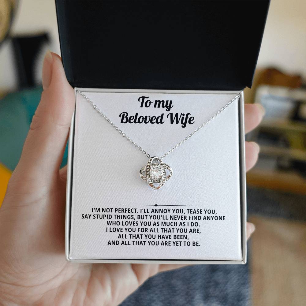 To my beloved wife, I'm not perfect.