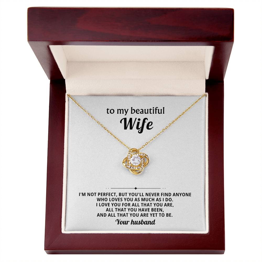 To my beautiful wife, I love you for all that you are, all that you have been