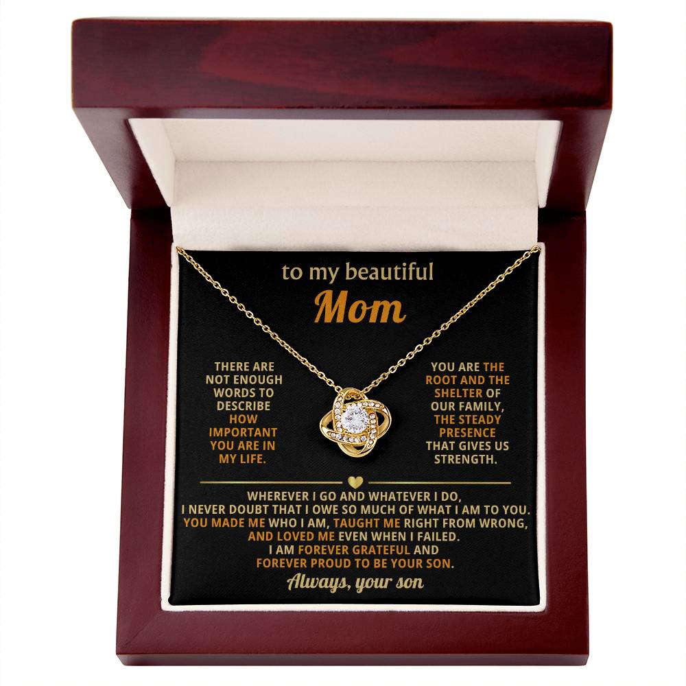 To My Mom,  You are the root and the shelter of our family