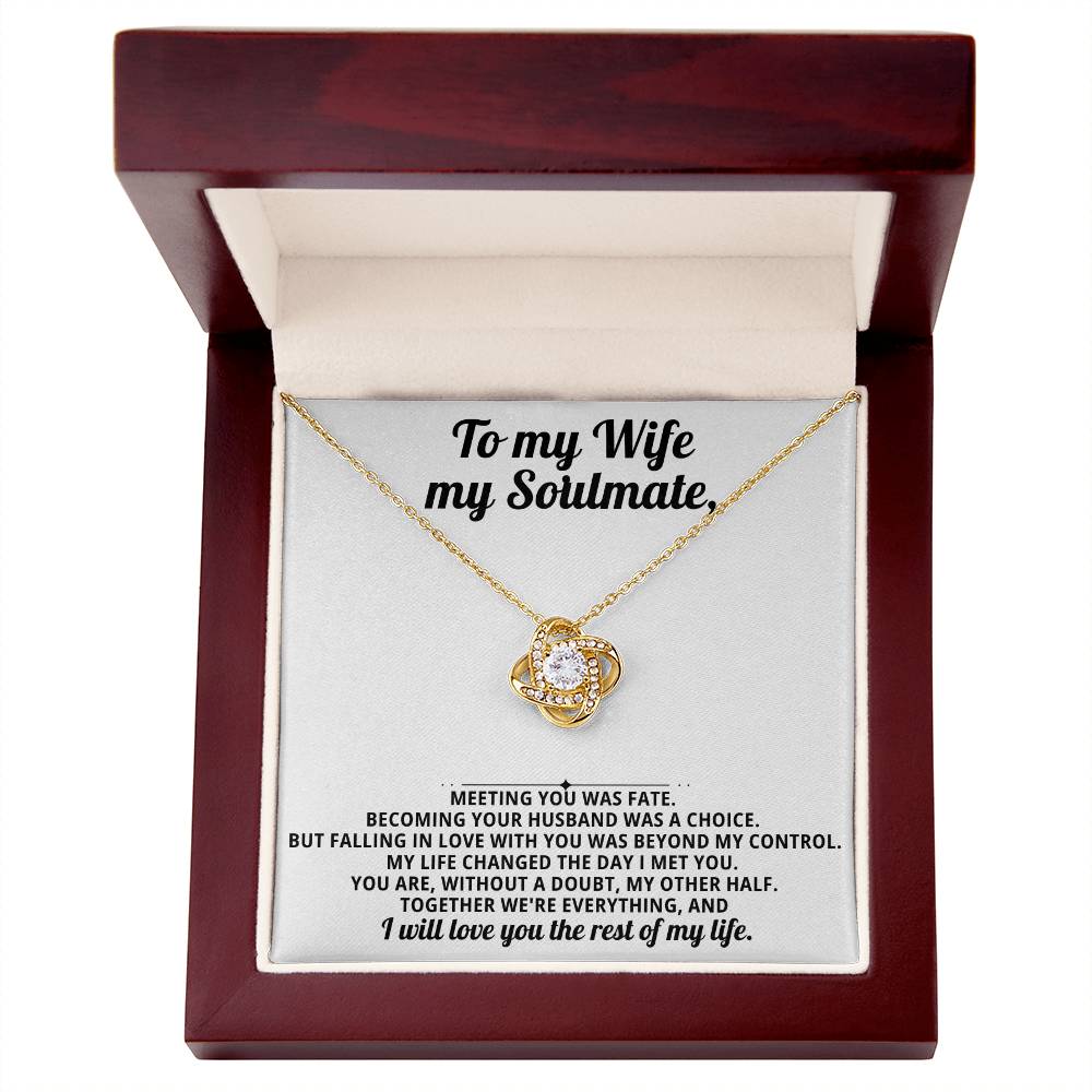 To my beautiful wife, I will love you the rest of my life.