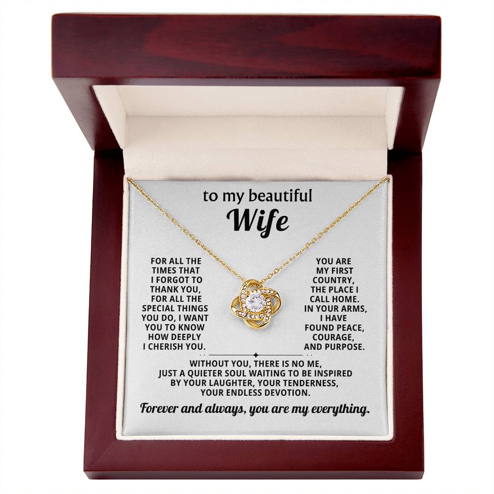 To my beautiful wife, Forever and always, you are my everything