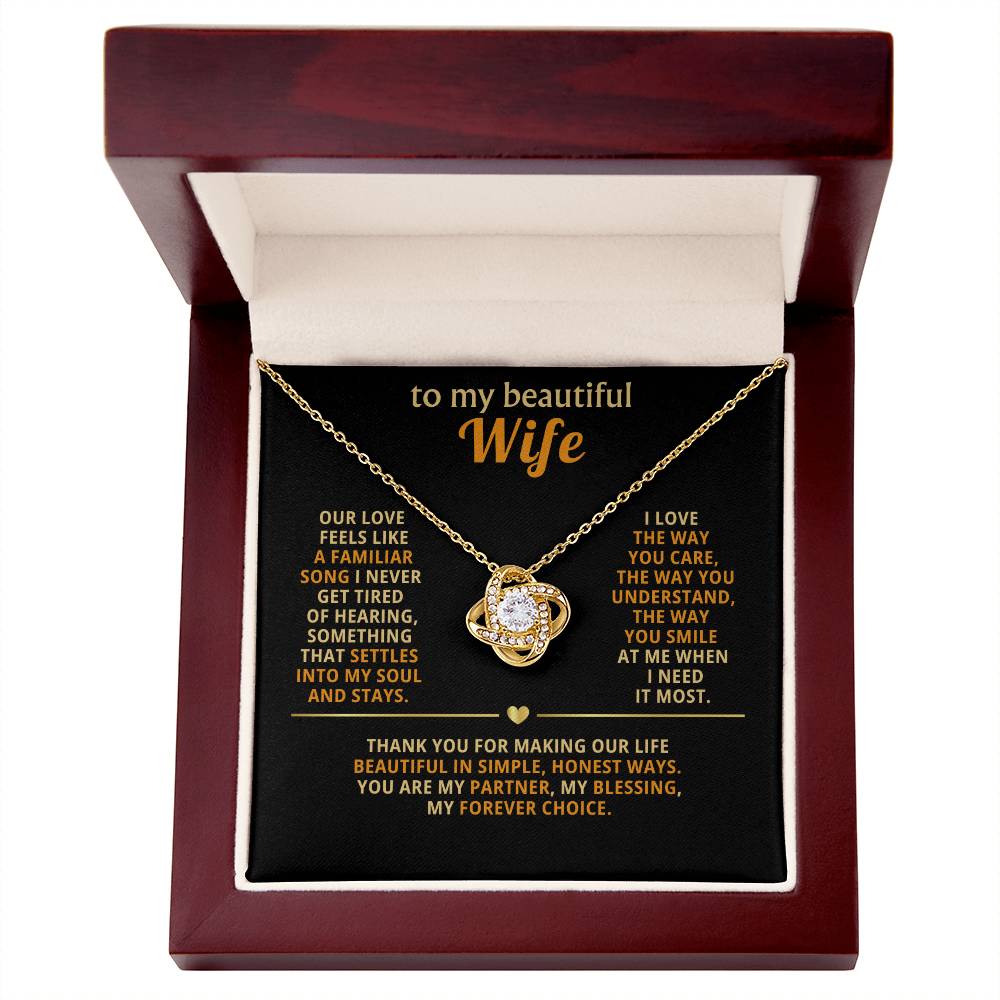 To my beautiful wife, I love the way you care, the way you understand, the way you smile