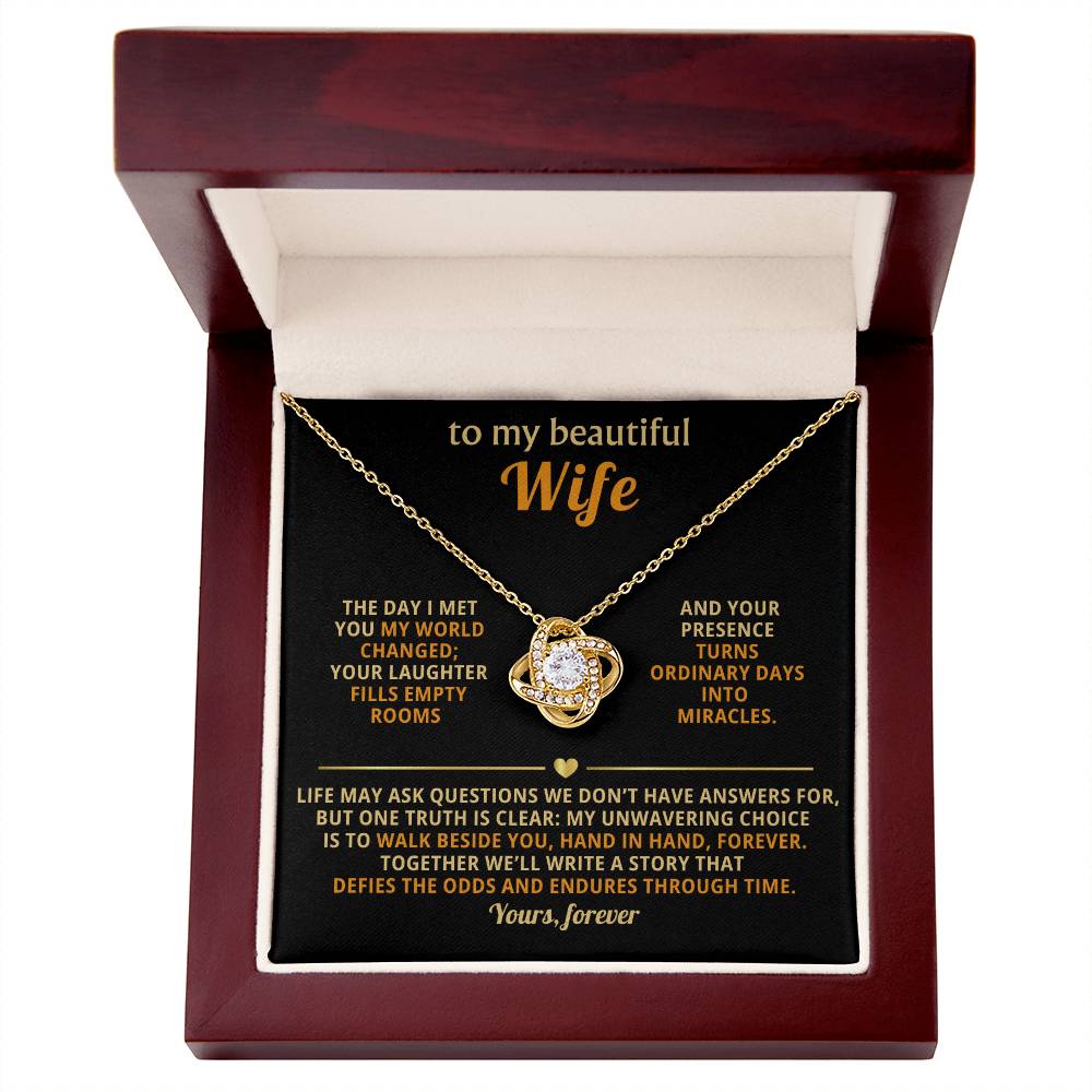 To my beautiful Wife, The day I met you my world changed