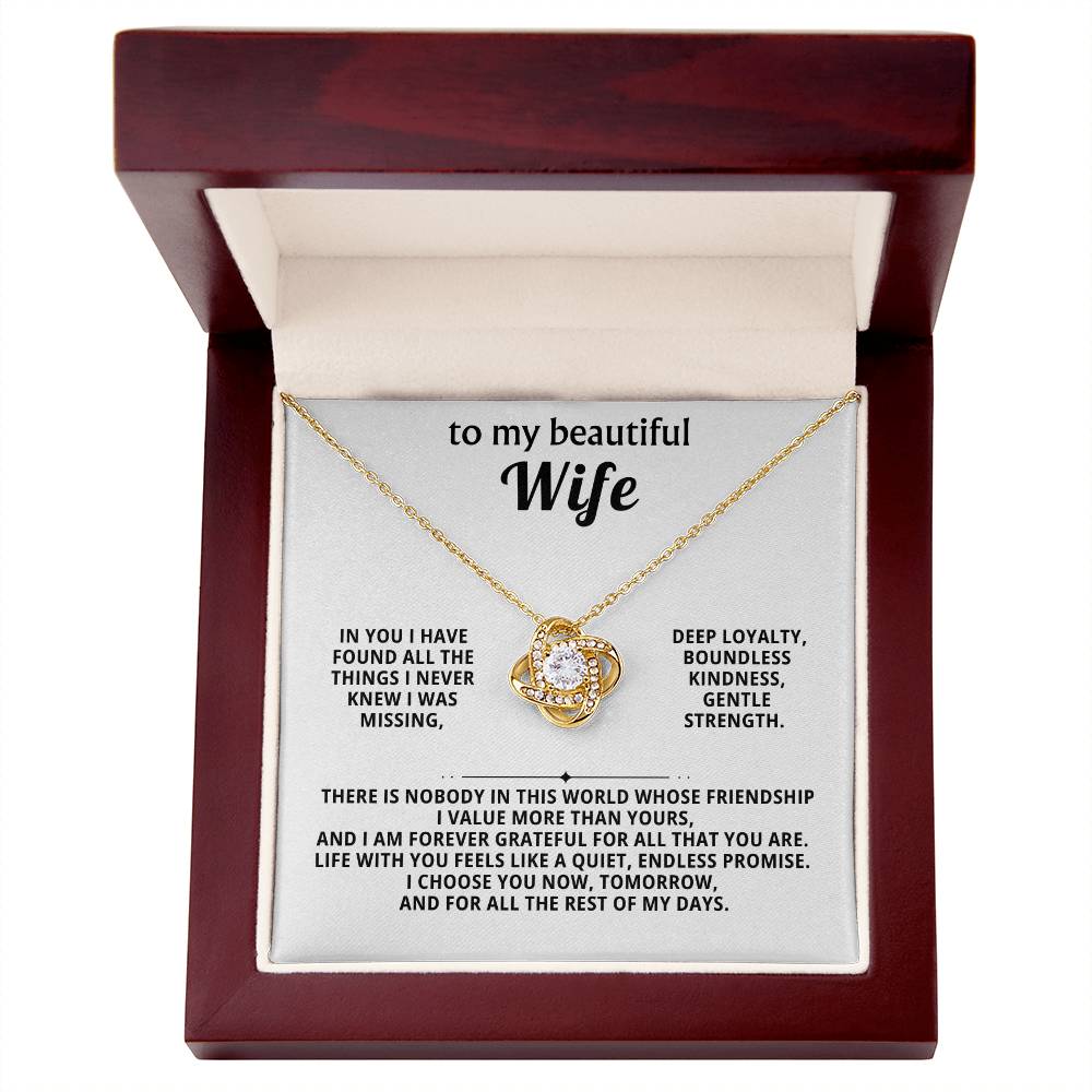 To my beautiful wife, In you I have found all the things I never knew I was missing