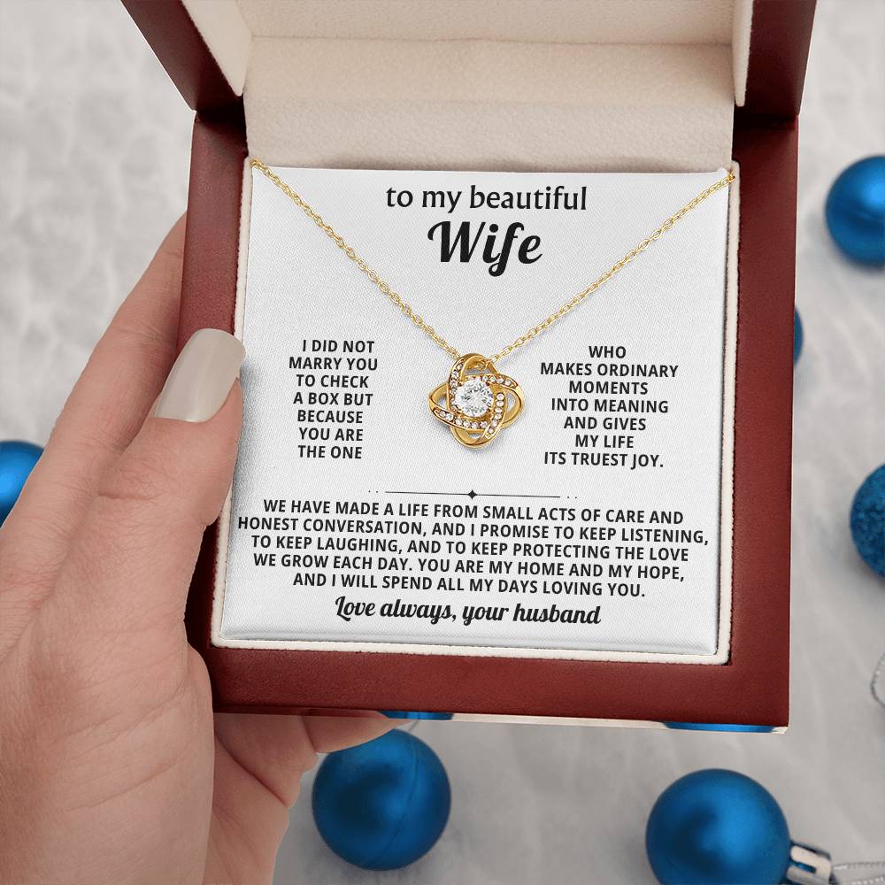 To my beautiful wife, You are the one who makes ordinary moments into meaning