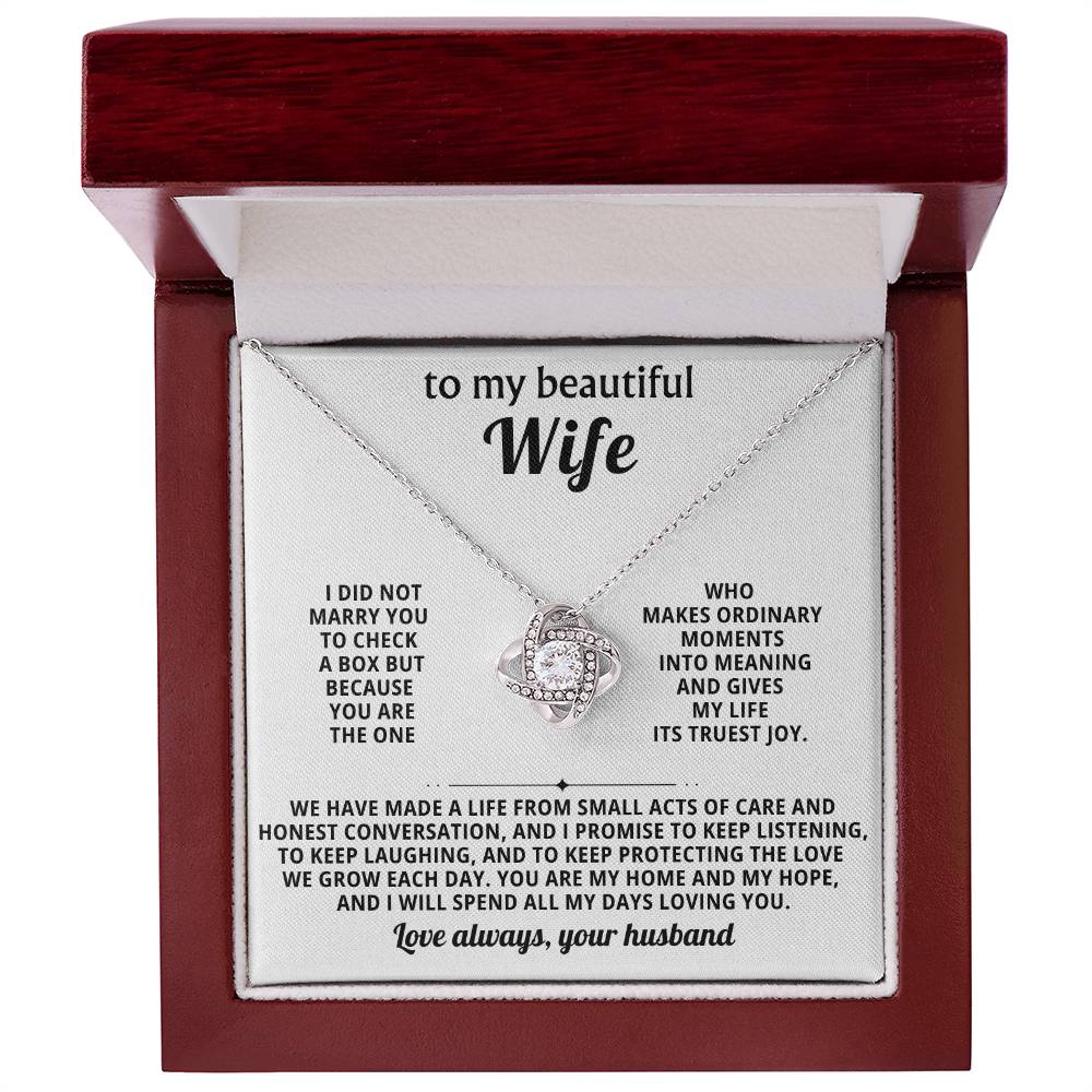 To my beautiful wife, You are the one who makes ordinary moments into meaning