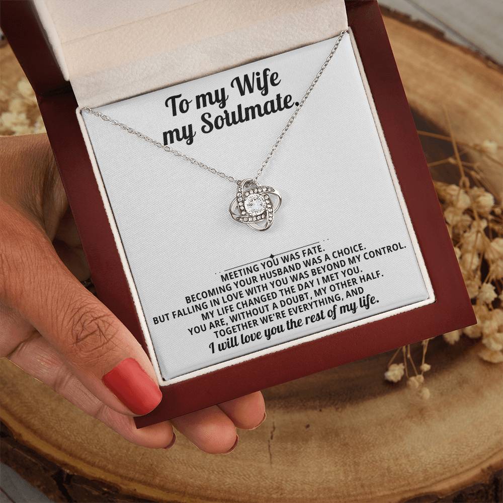 To my beautiful wife, I will love you the rest of my life.