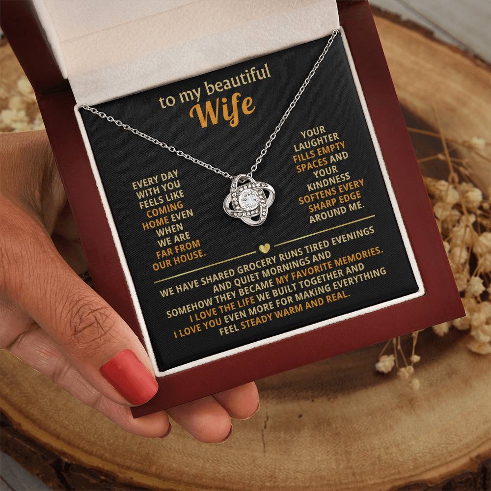 To my beautiful wife, I love the life we built together