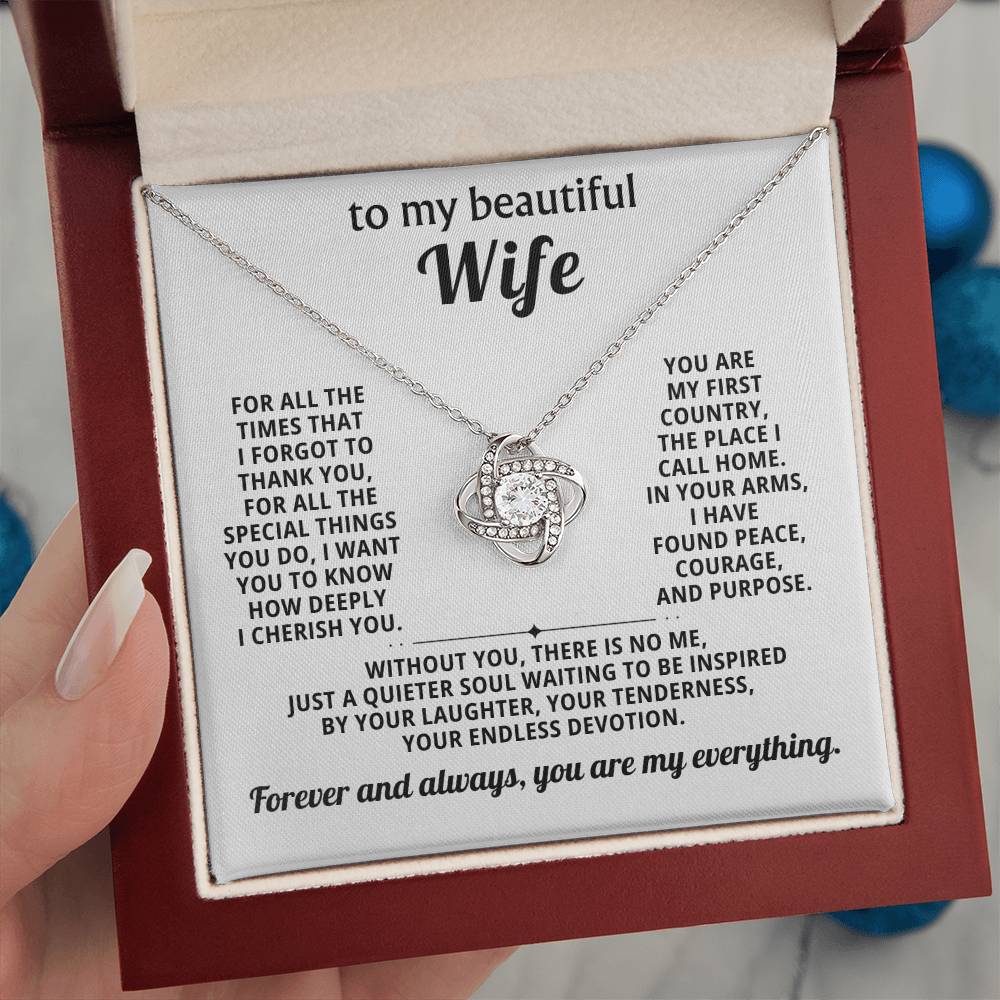 To my beautiful wife, Forever and always, you are my everything