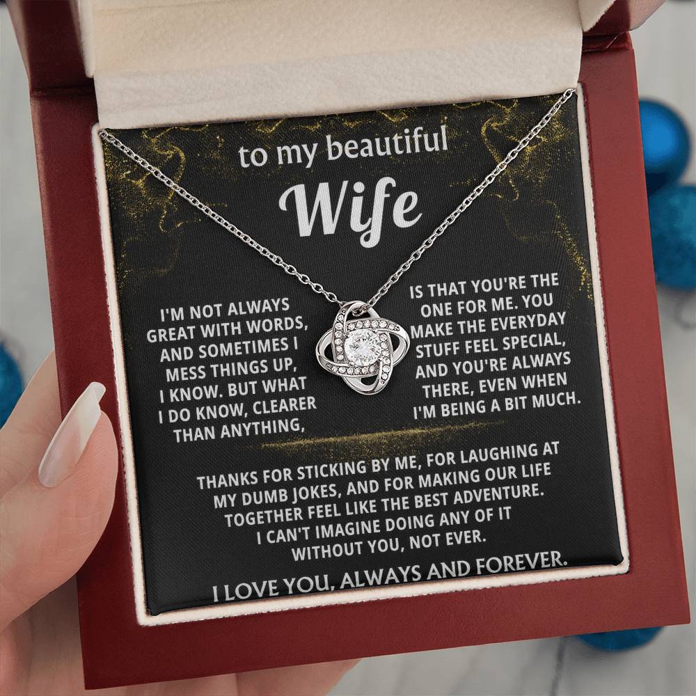 To My Wife, You make everyday feel like an adventure.