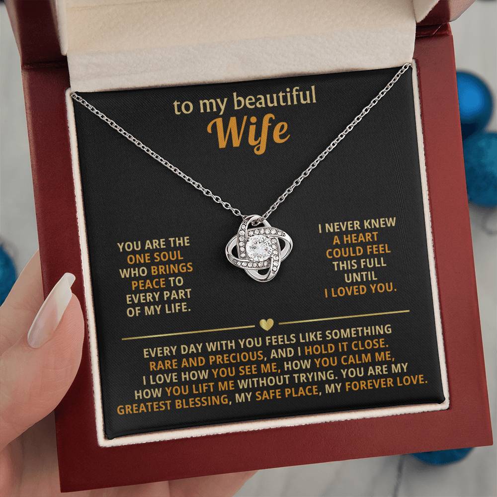 To my beautiful wife, you are the one soul who brings peace to every part of my life