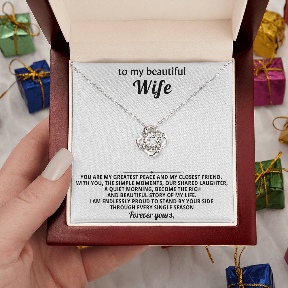 To my beautiful wife, You are my greatest peace and my closest friend