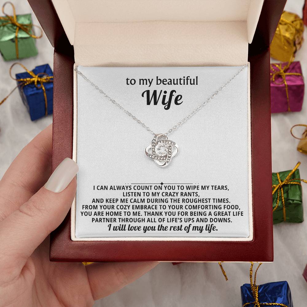 To my beautiful wife, I can always count on you to wipe my tears, listen to my crazy rants