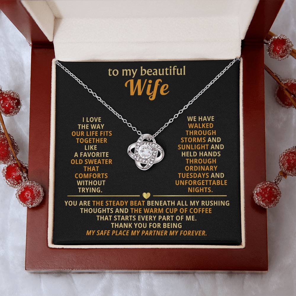 To my beautiful wife, I love the way our life fits together