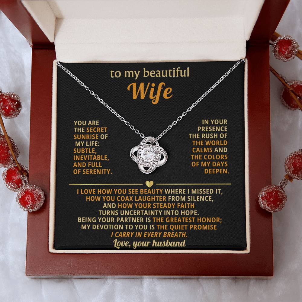 To my beautiful Wife, You are the secret sunrise of my life