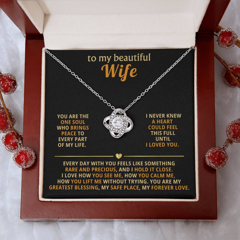 To my beautiful wife, you are the one soul who brings peace to every part of my life