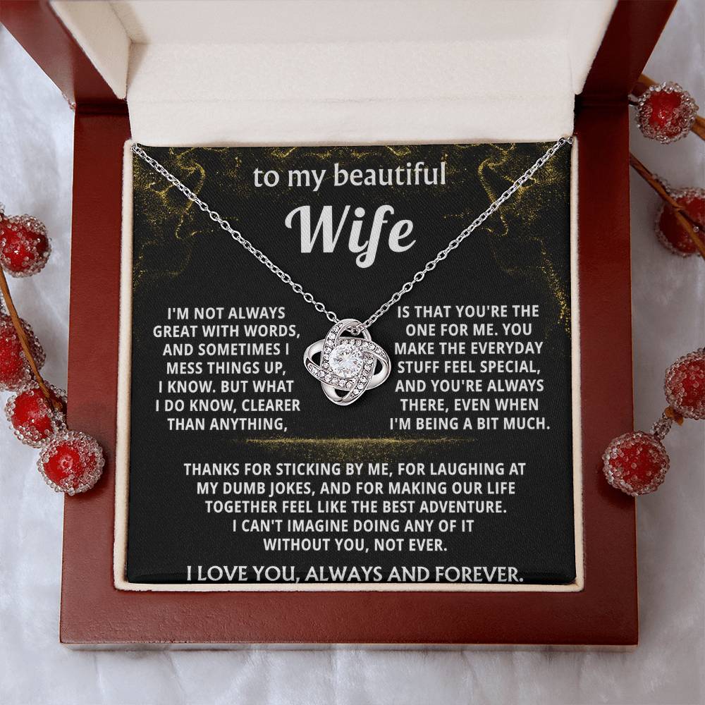 To My Wife, You make everyday feel like an adventure.