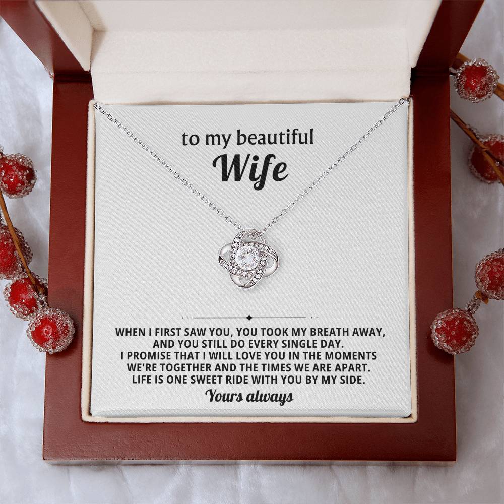 To my beautiful wife, I promise that I will love you in the moments we're together
