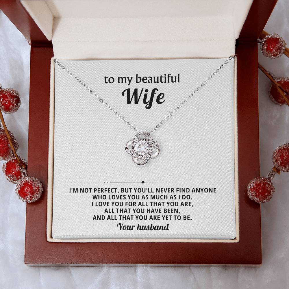 To my beautiful wife, I love you for all that you are, all that you have been