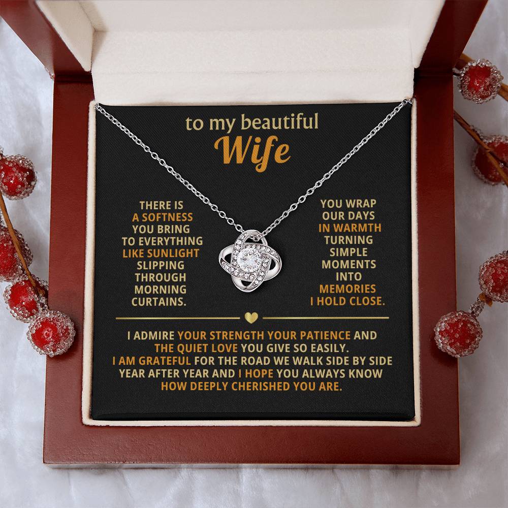 To my beautiful wife, There is a softness you bring to everything like sunlight