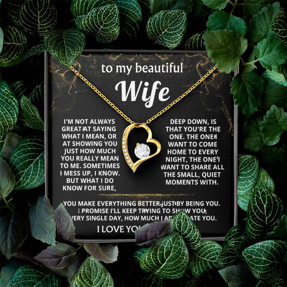 To My Wife, You make my world better.