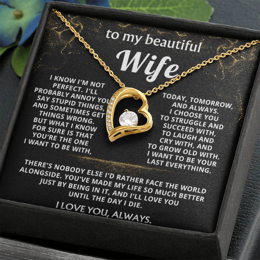 To My Wife, You make my life so much better.