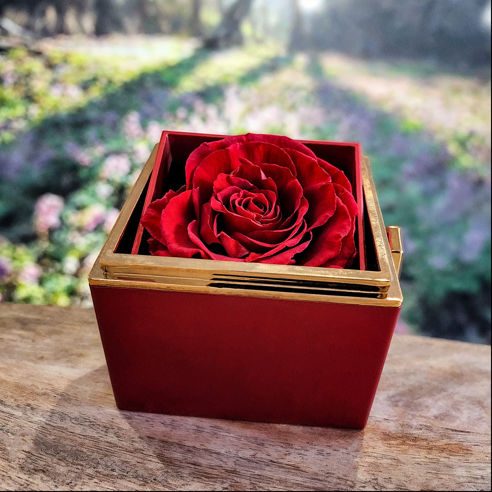 To My Mom For All - Little Boy Blue - Rose Box