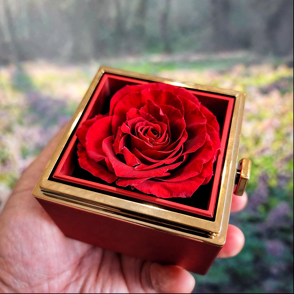 I'm Sorry Gifts For Her - Love Knot with Rotating Rose Gift Box