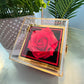 TO MY DAUGHTER THIS LION KNOT ROSE BOX
